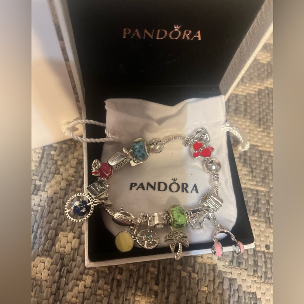 Pandora Bracelet